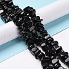 Natural Shungite Stone Beads Strands G-G925-04A-2