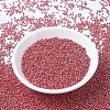 MIYUKI Round Rocailles Beads SEED-G007-RR0425-2