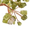 Mother's Day Natural Peridot Chips Money Tree Decorations DJEW-C016-01G-2