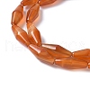 Dyed & Heated Natural Carnelian Beads Strands G-Q019-A01-3