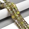 Natural Agate Beads Strands G-B079-F01-01-1