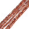 Natural Freshwater Shell Dyed Beads Strands X-SHEL-M018-14-02-1
