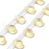 K9 Glass Beads Strands GLAA-Q102-02H-1