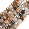 Natural Thousand Layer Lodolite Quartz Beads Strands G-M451-A01-8mm-2