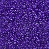 MIYUKI Round Rocailles Beads X-SEED-G007-RR0176-3