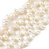 Natural Cultured Freshwater Pearl Beads Strands PEAR-A006-16-2
