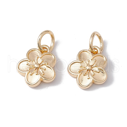 Rack Plating Alloy Charms X-FIND-G036-02LG-1