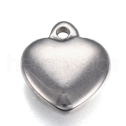 Tarnish Resistant 304 Stainless Steel Charms STAS-I166-13B-1