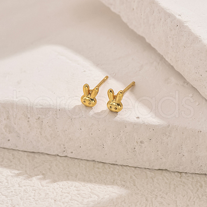 Stainless Steel Stud Earrings TY5143-1-1