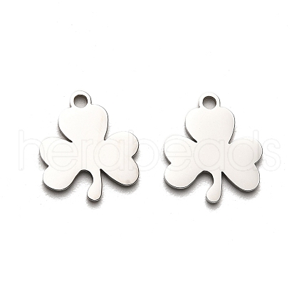 Non-Tarnish 316 Surgical Stainless Steel Charms STAS-H190-14P-02-1