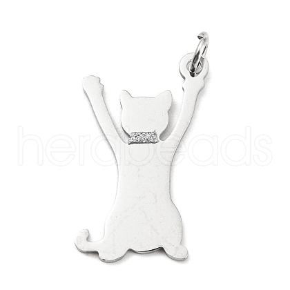Non-Tarnish 304 Stainless Steel Pendants STAS-E205-03P-1