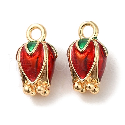 Brass Enamel Charms KK-S368-12G-1