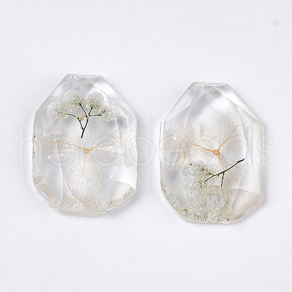 Resin Pendants X-CRES-T014-22B-1