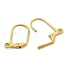 Ion Plating(IP) 304 Stainless Steel Leverback Earring Findings STAS-P360-02B-G-2