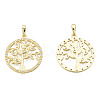 Brass Micro Pave Clear Cubic Zirconia Pendants ZIRC-N039-248-1