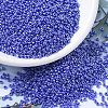 MIYUKI Round Rocailles Beads X-SEED-G007-RR0432-1