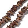 Natural Petrified Wood Beads Strands G-M205-89-1