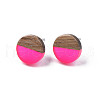 Transparent Resin & Walnut Wood Stud Earrings EJEW-N017-008-A05-2