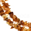 Natural Amber Chip Beads Strands G-E271-81-01-3