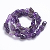 Natural Amethyst Beads Strands G-G841-A02-2