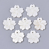 Freshwater Shell Pendants SHEL-N026-03-1