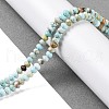 Natural Howlite Beads Strands X-G-H025-03C-09-2