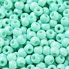 Baking Paint Glass Seed Beads SEED-H002-I-B506-3