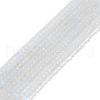 Frosted Transparent Glass Beads Strands FGLA-M002-01I-2