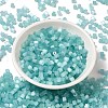 Glass Seed Beads X1-SEED-H002-D-A812-2