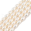 Natural Cultured Freshwater Pearl Beads Strands PEAR-I007-01C-03A-2