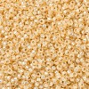 MIYUKI Round Rocailles Beads SEED-G007-RR0552-3