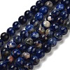 Natural South Africa Sodalite Beads Strands G-S259-35-6mm-2
