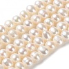 Natural Cultured Freshwater Pearl Beads Strands PEAR-E018-39-1