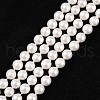 Shell Bead Strands BSHE-R146-6mm-02-1