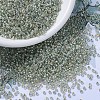 MIYUKI Round Rocailles Beads SEED-X0054-RR3193-1