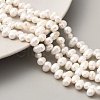 Natural Cultured Freshwater Pearl Beads Strands PEAR-A006-23B-1