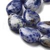 Natural Blue Spot Jasper Beads Strands G-P528-L17-01-4