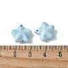 Natural Rainbow Alashan Agate Charms G-G194-02F-3