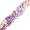 Natural Amethyst & Citrine Beads Strands G-L610-B06-01-1
