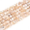 Natural Trochid Shell/Trochus Shell Beads Strands SSHEL-N040-10-1