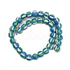 Handmade Lampwork Enamel Beads LAMP-R004-05H-2