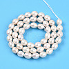 Natural Cultured Freshwater Pearl Beads Strands PEAR-N012-06Z-01-3