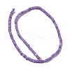 Dyed Natural Freshwater Shell Beads Strands X1-BSHE-G039-07B-2