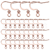 SUNNYCLUE 100Pcs 316 Surgical Stainless Steel Earring Hooks STAS-SC0006-43-1