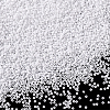 11/0 Glass Seed Beads SEED-PH0003-06-2