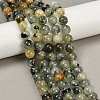 Natural Prehnite Beads Strands G-P322-48-10mm-01-6