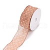 20 Yards Polyester Mesh Ribbon SRIB-P021-E03-3