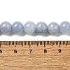 Dyed Natural Malaysia Jade Beads Strands G-G021-02B-22-3