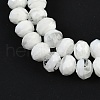 Handmade Lampwork Beads Strands LAMP-T007-13G-3