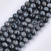 Natural Hawk's Eye Beads Strands X-G-S333-8mm-027-1